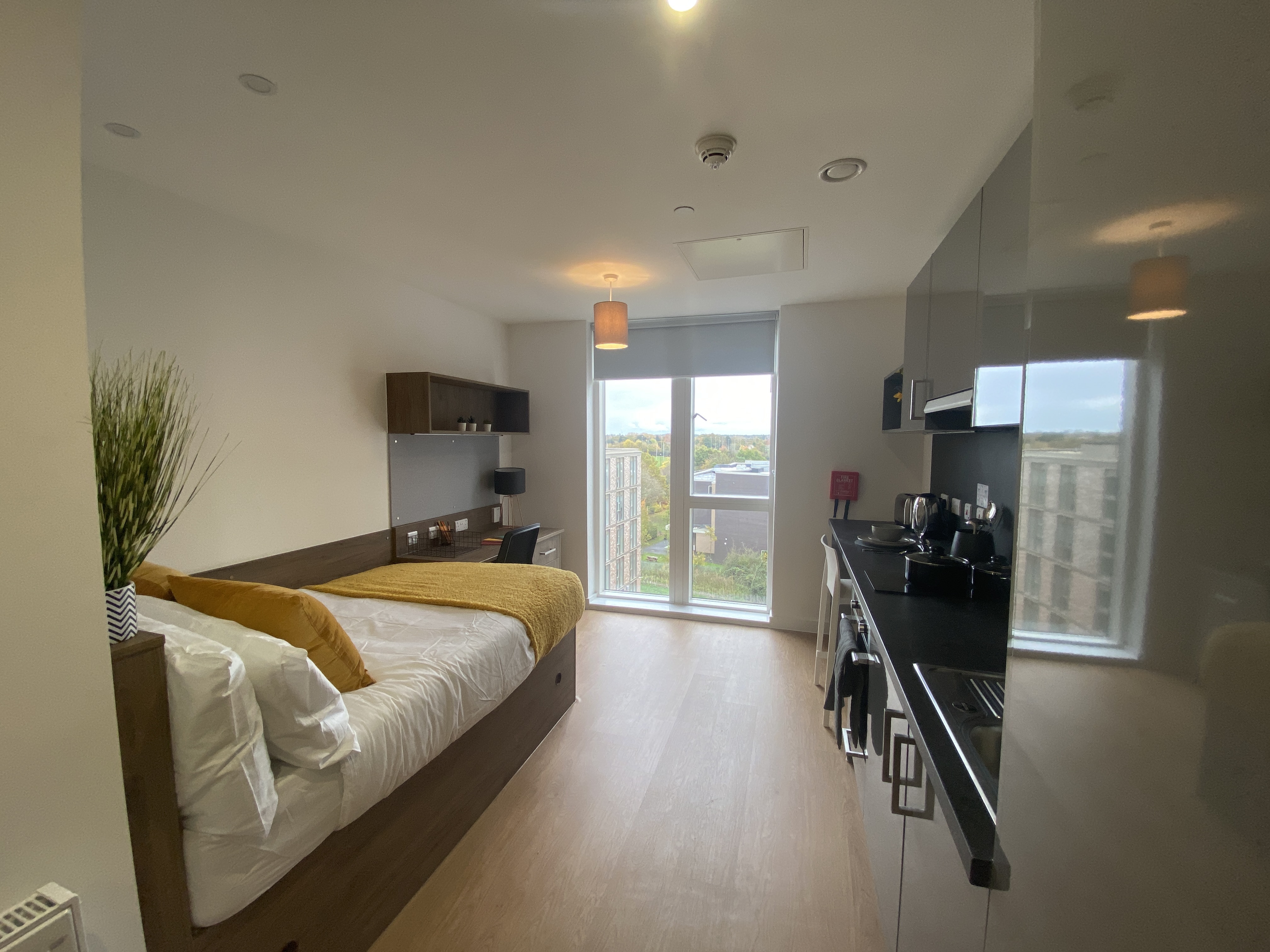 room picture