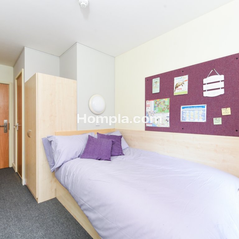 room picture