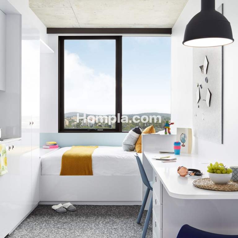room picture