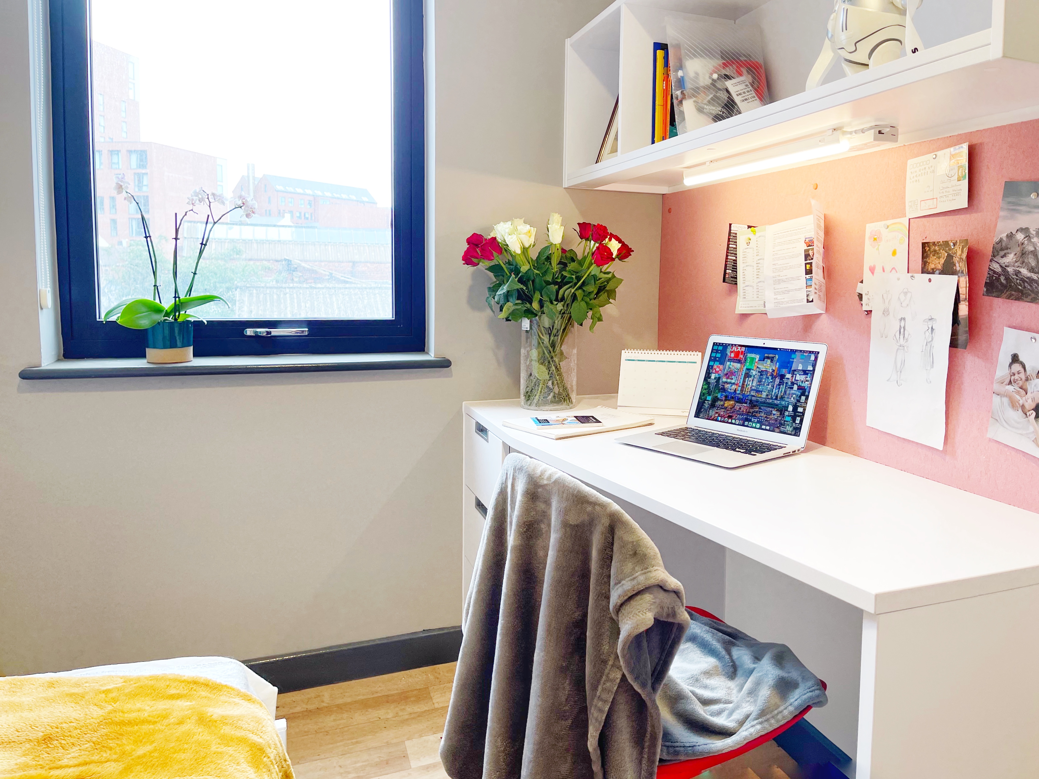 room picture