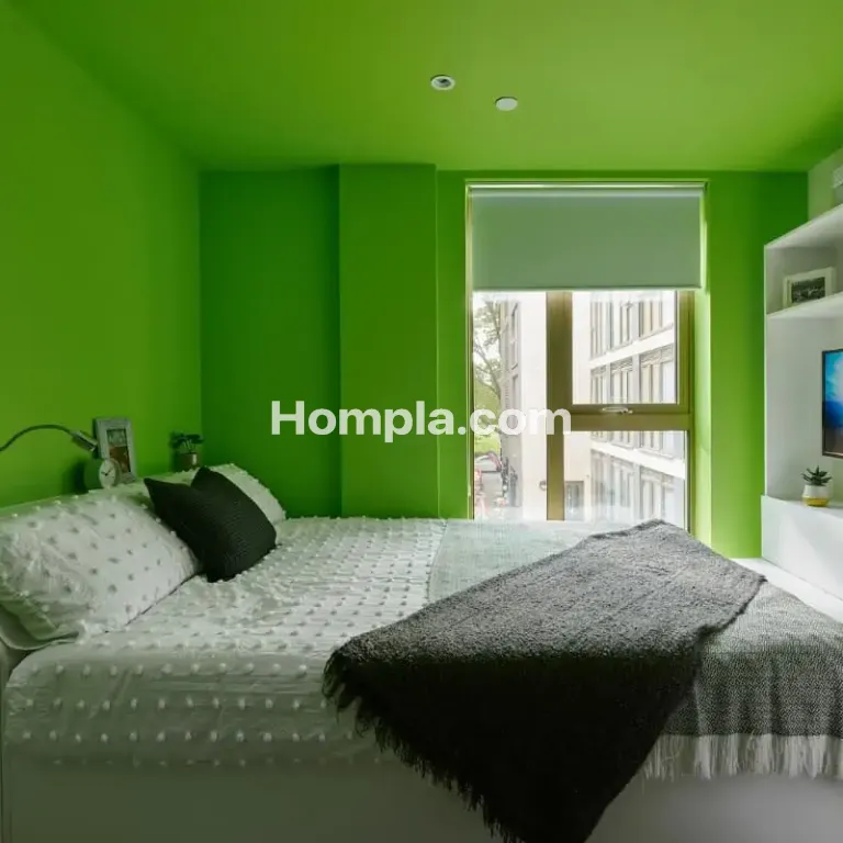 room picture