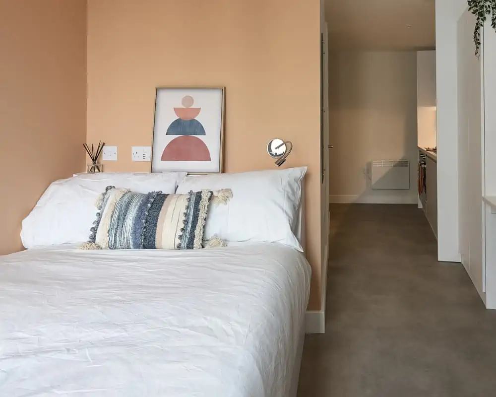 room picture