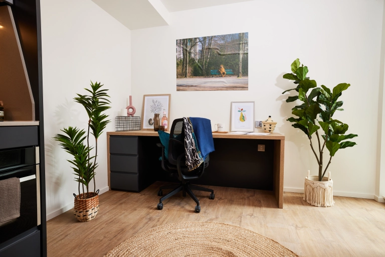room picture