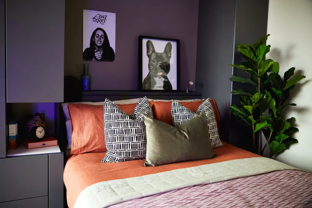 room picture