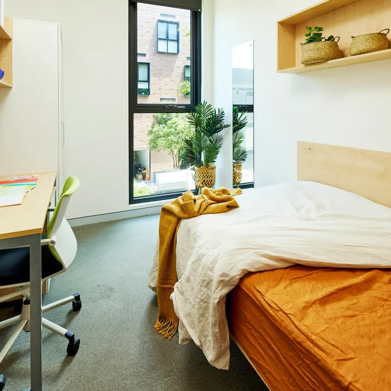 rooms picture