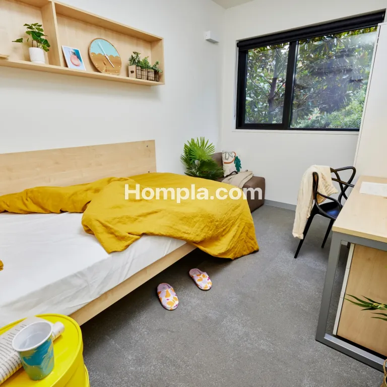 room picture