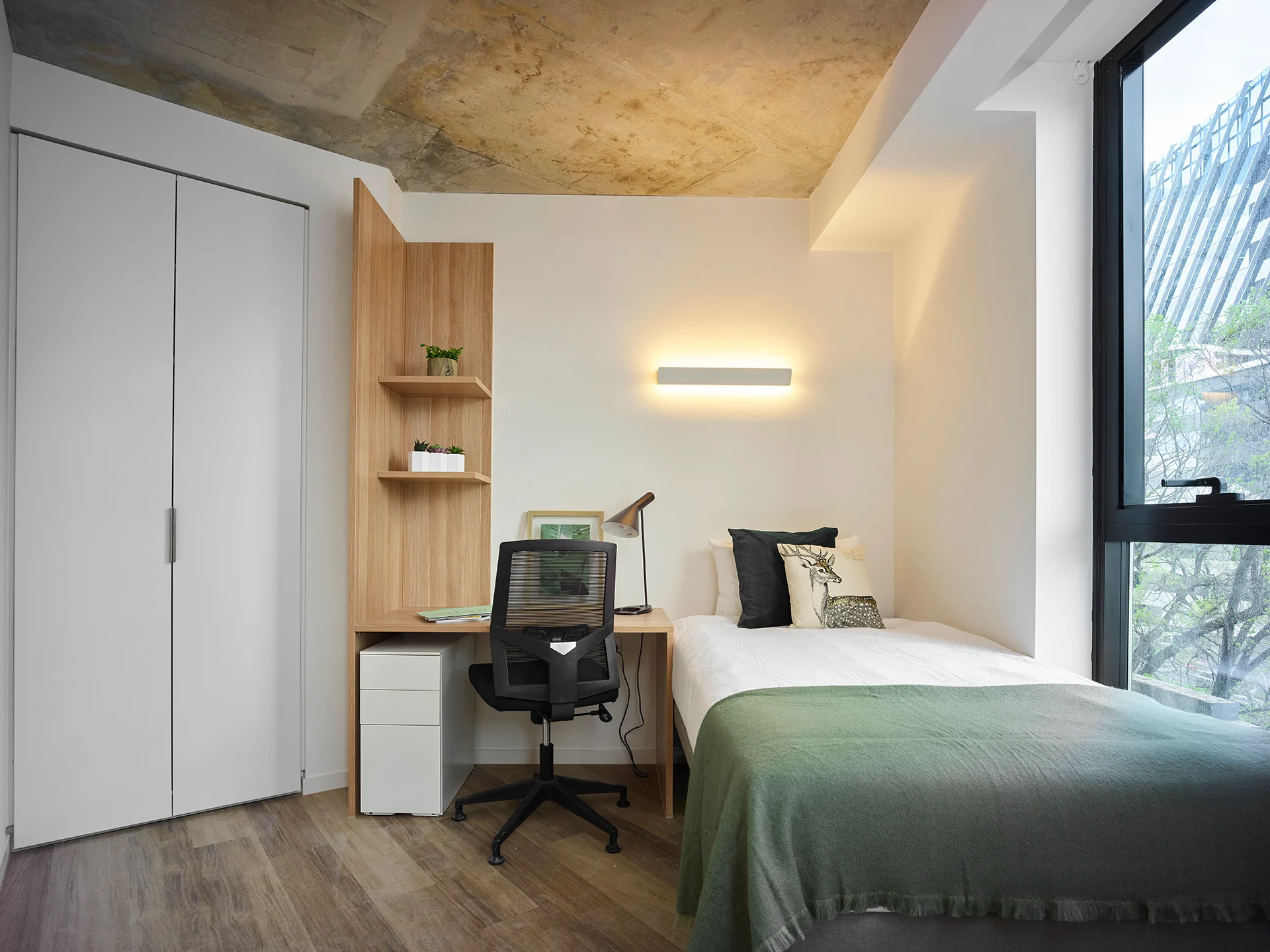 room picture