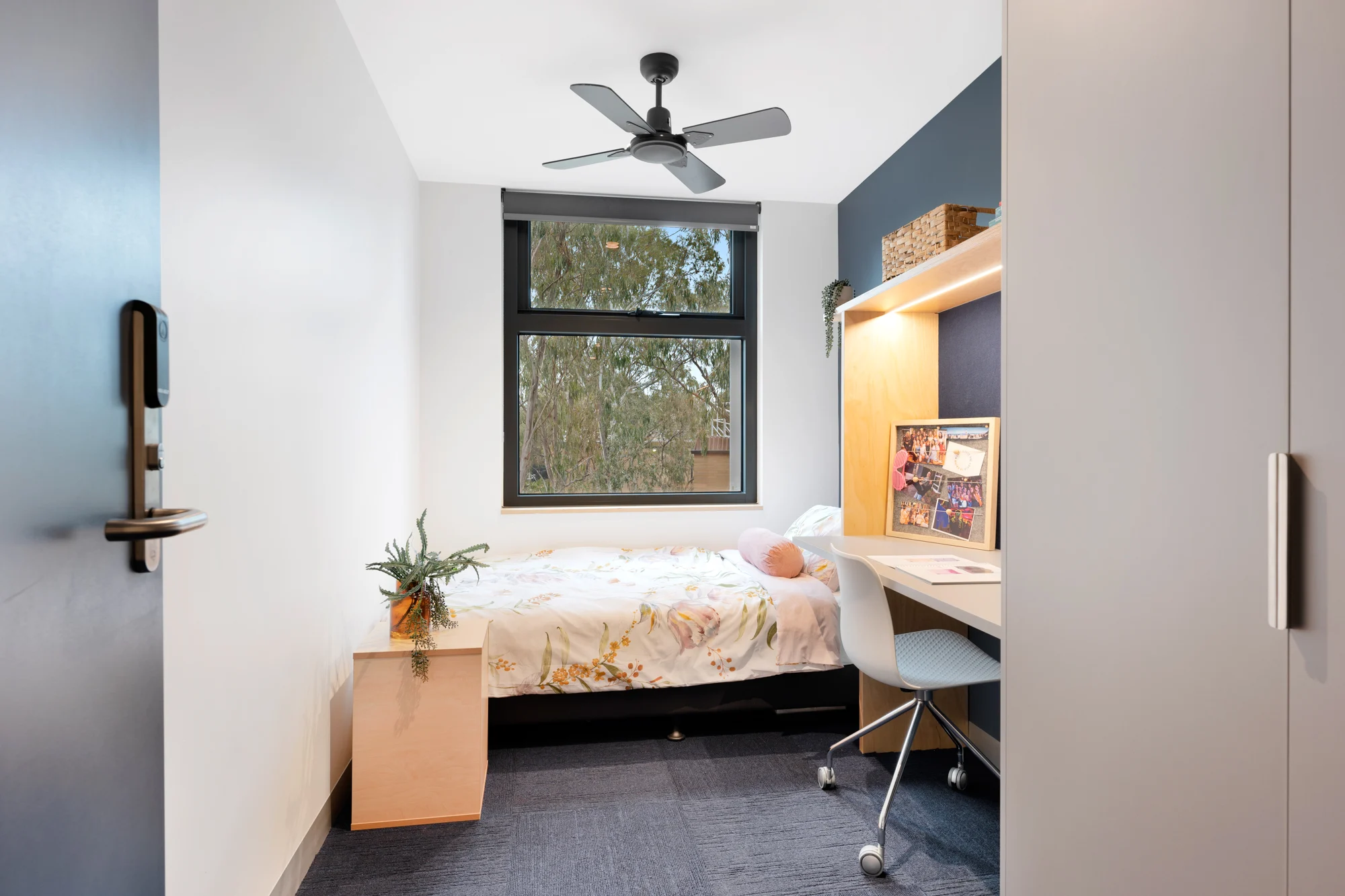 room picture