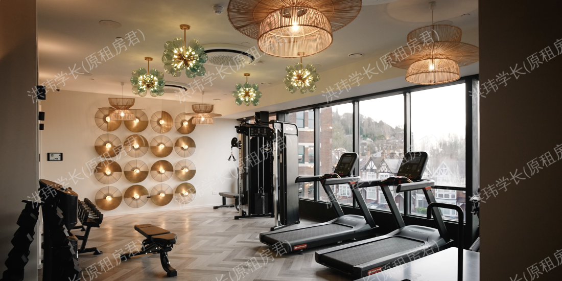 Dandi on the Hill公寓