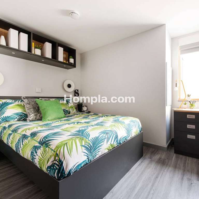 room picture