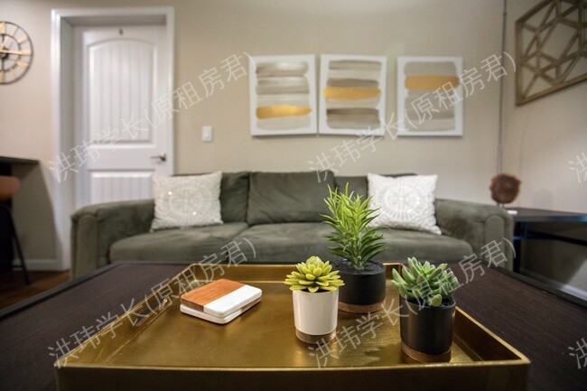 rooms picture