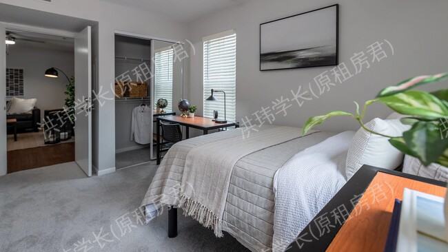 rooms picture