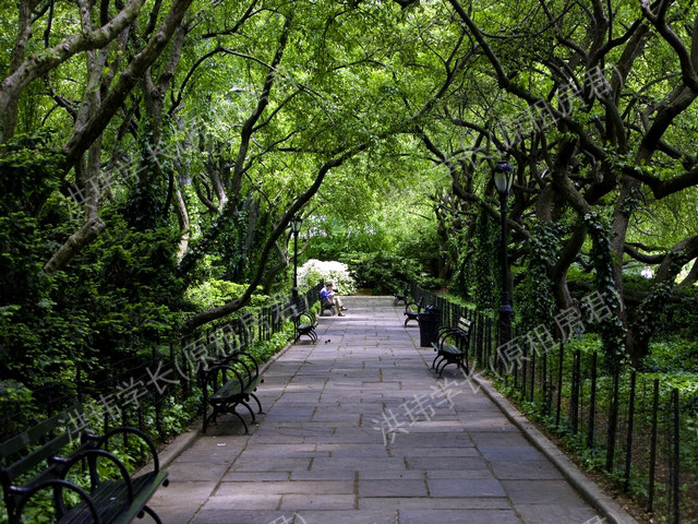 Avalon Morningside Park公寓