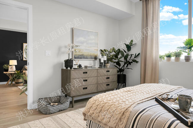 rooms picture
