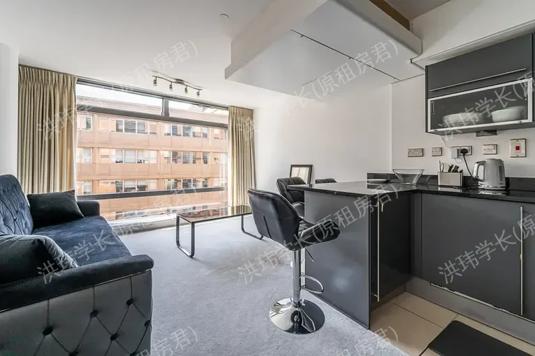Parliament View Apartments |  1 Albert Embankment公寓