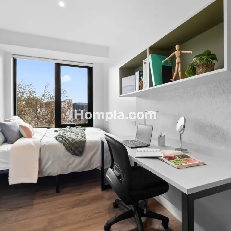 room picture