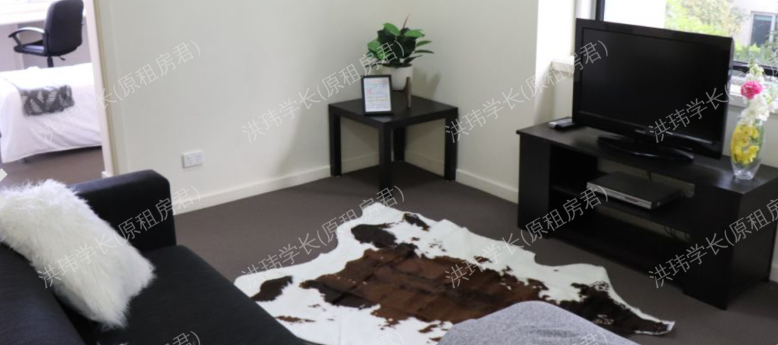 room picture