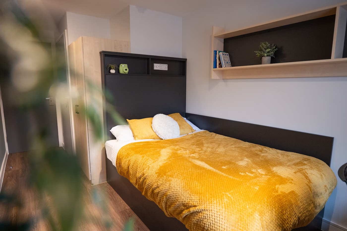 room picture