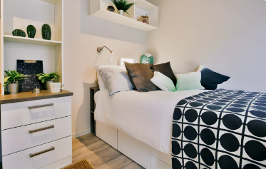 room picture