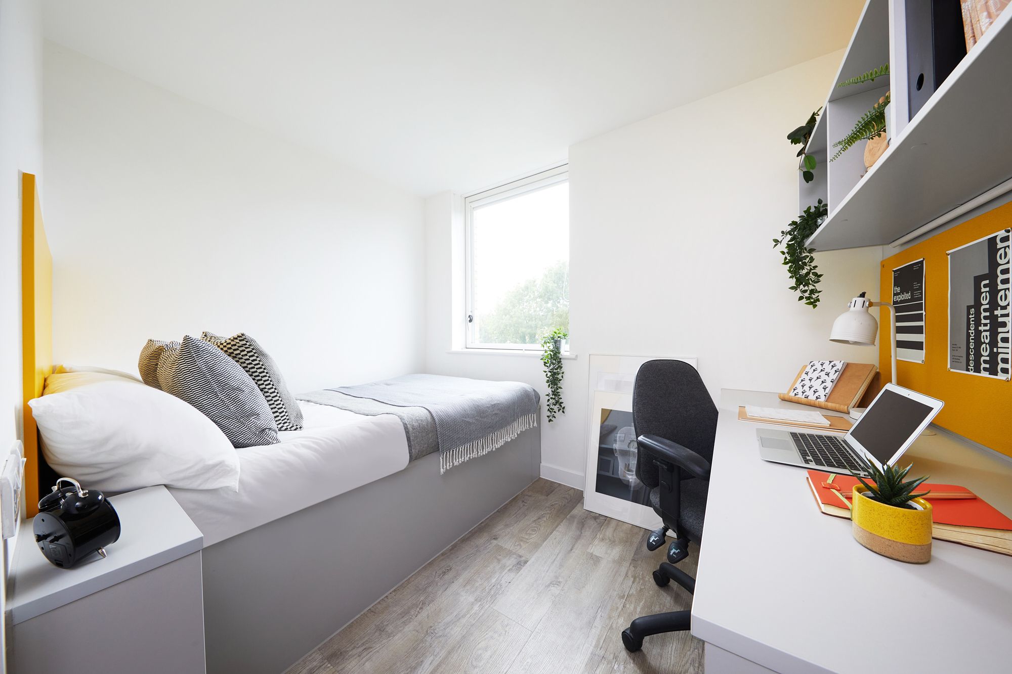 room picture