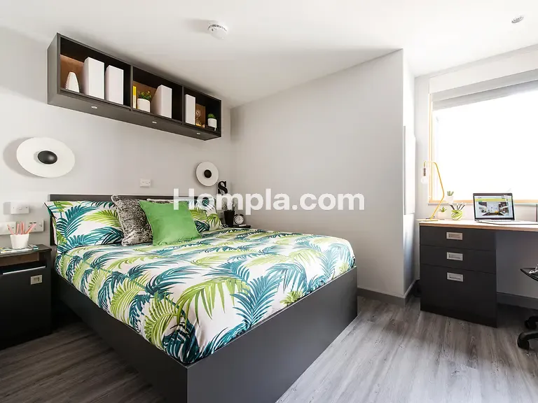 room picture