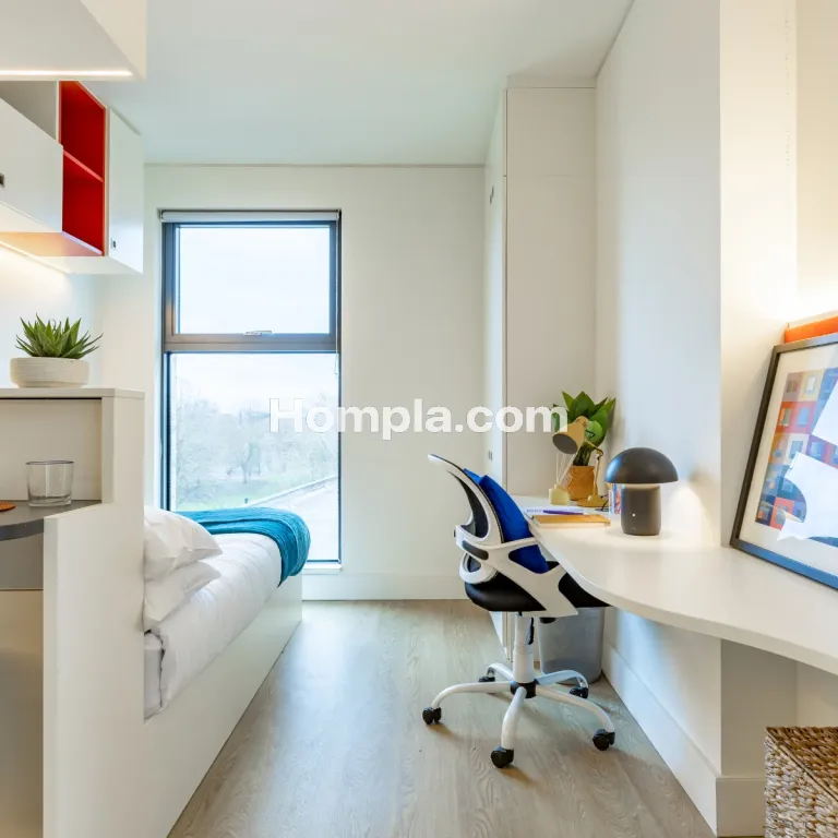room picture