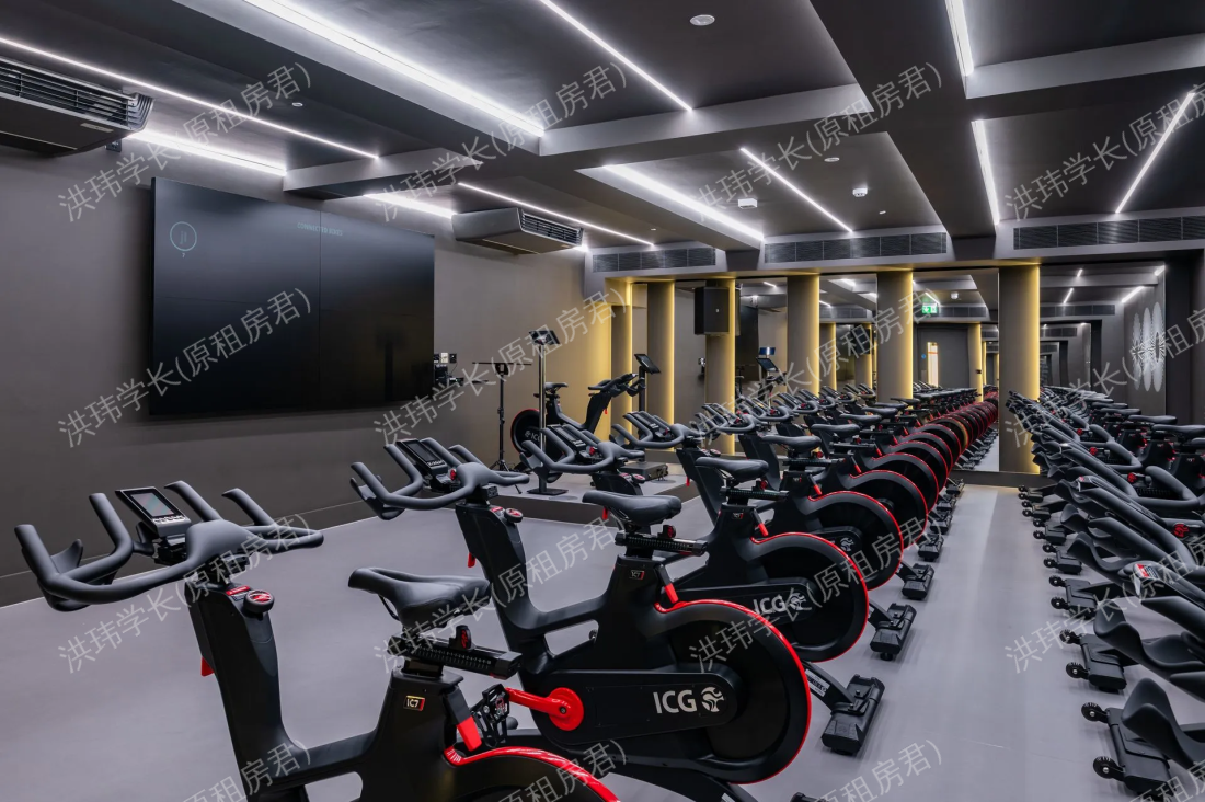 Dolphin Square公寓