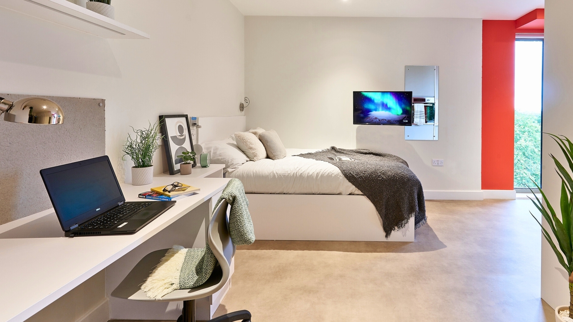 room picture