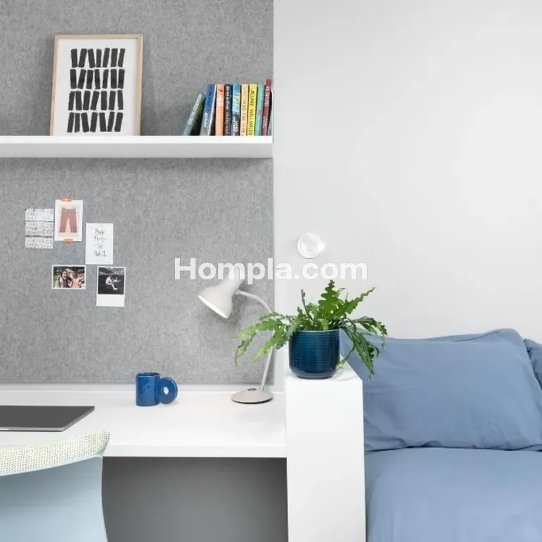 room picture