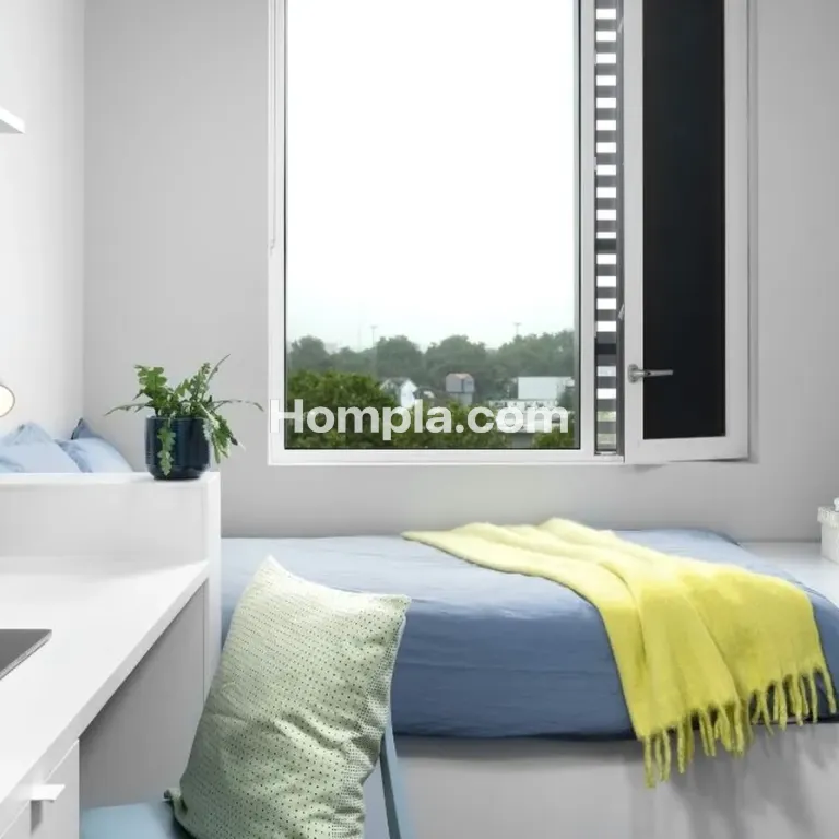 room picture