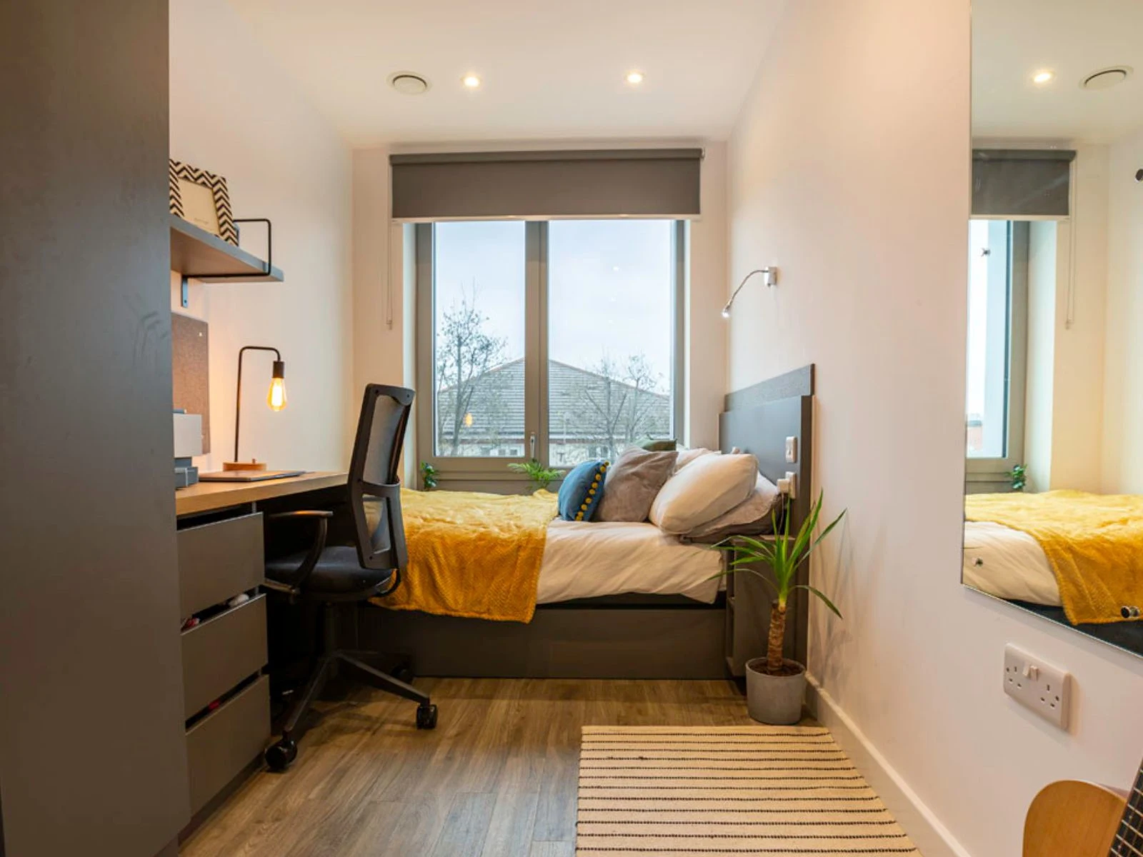 room picture