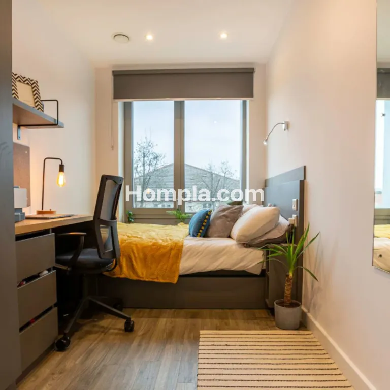 room picture