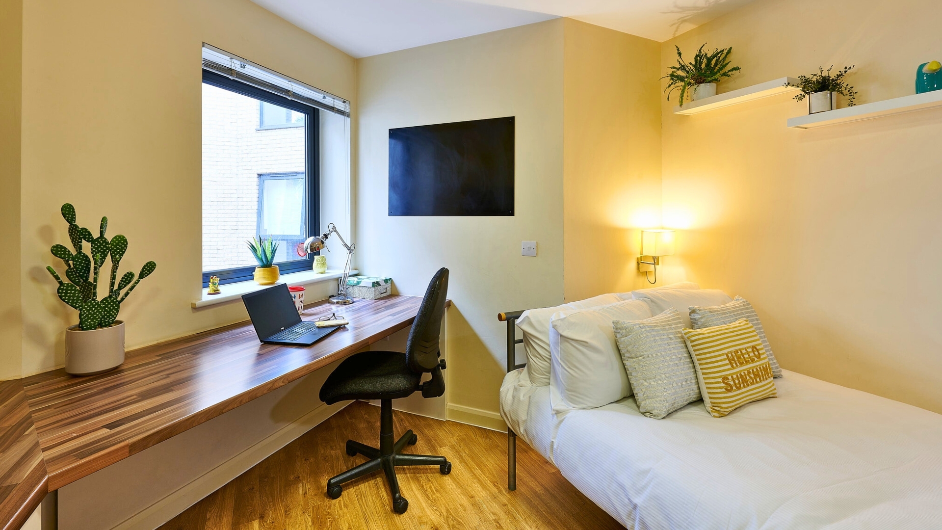 room picture