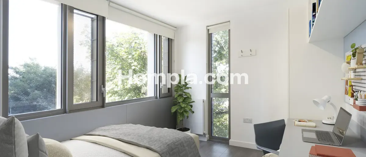room picture