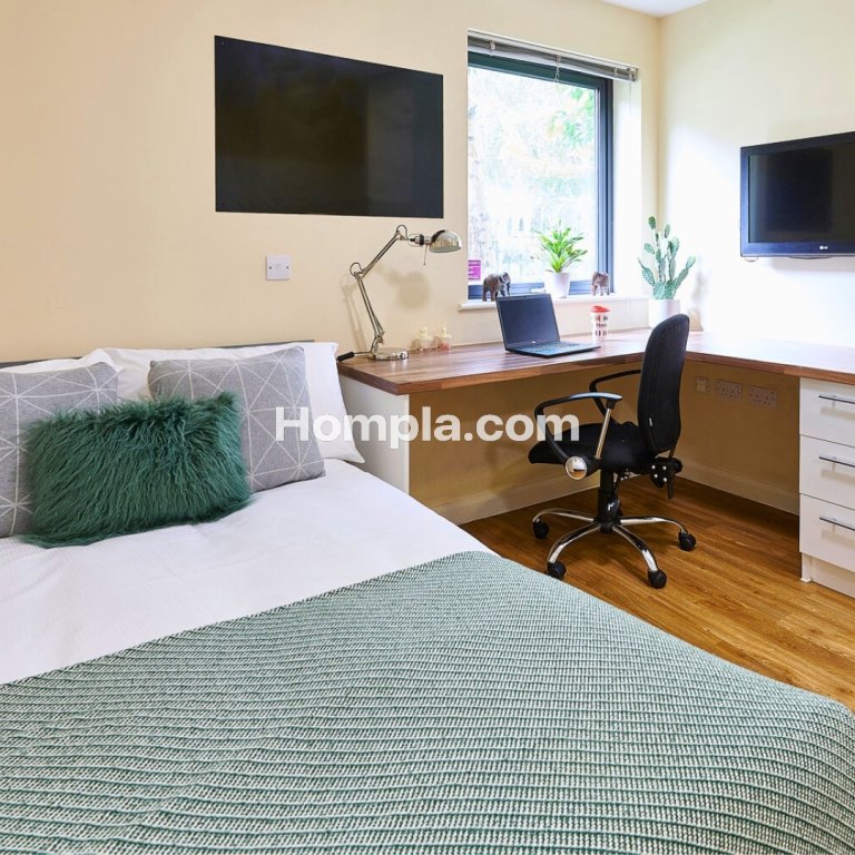 room picture