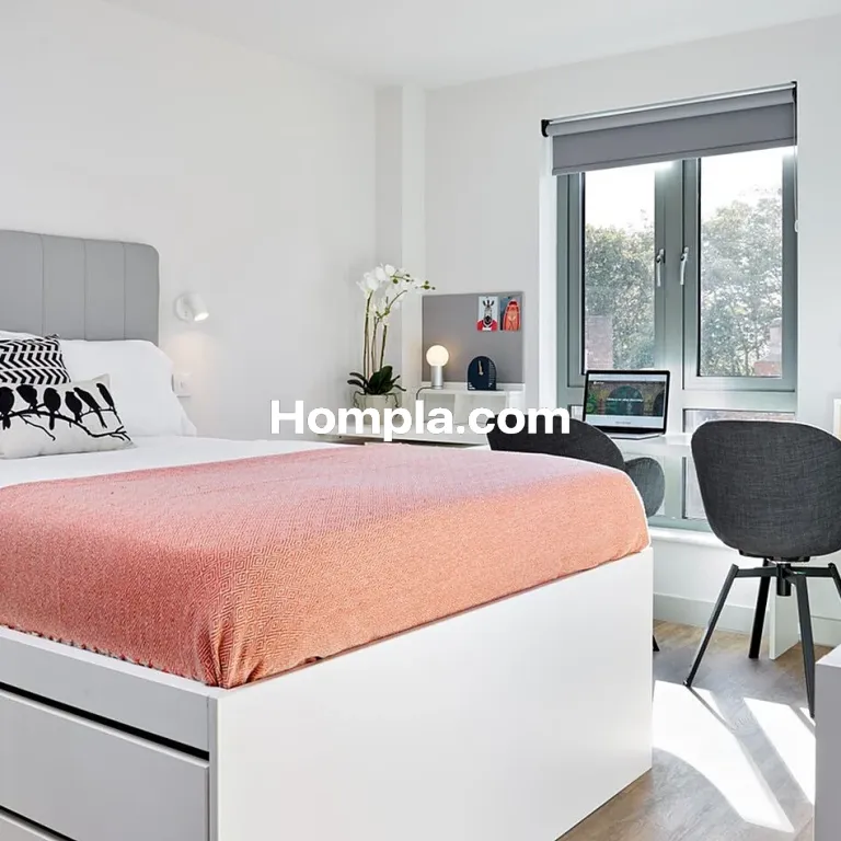 room picture