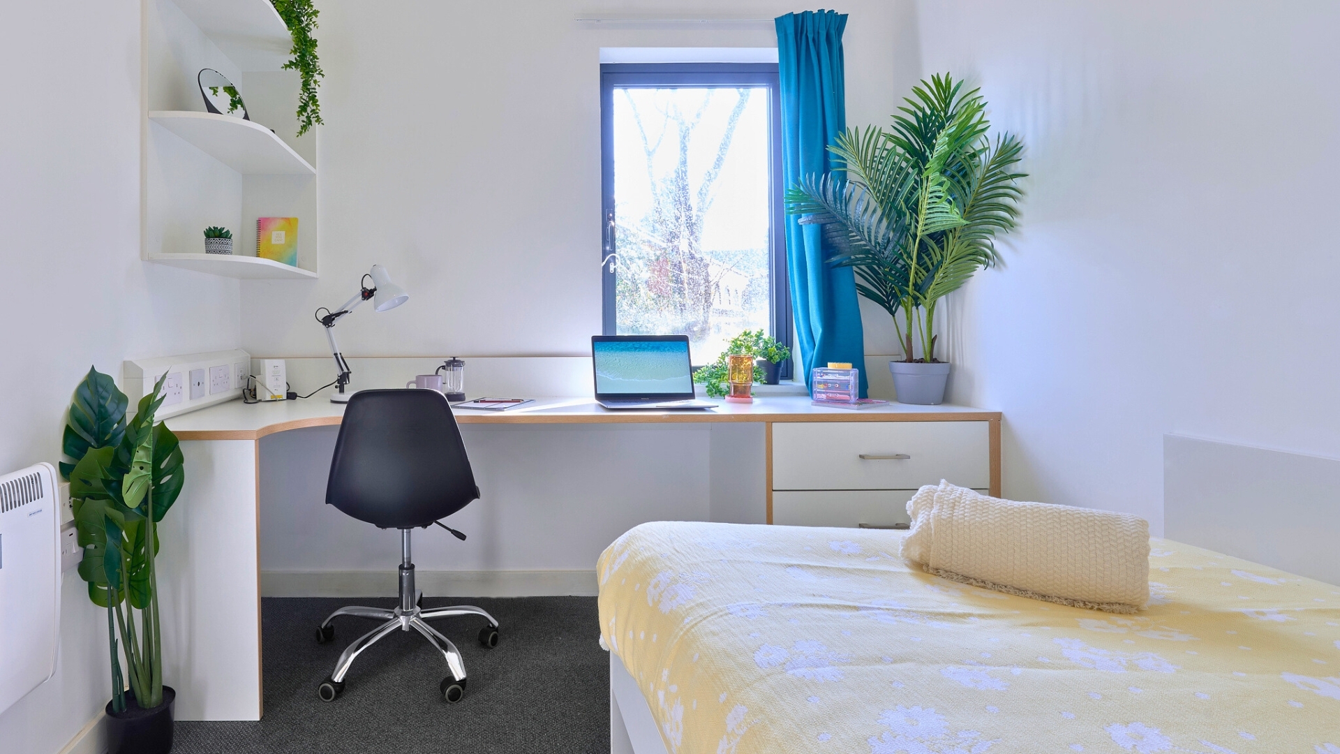 room picture