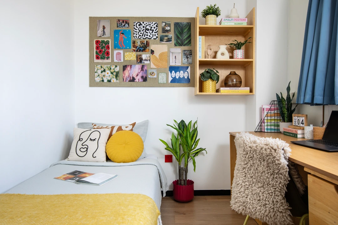room picture