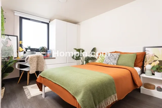room picture