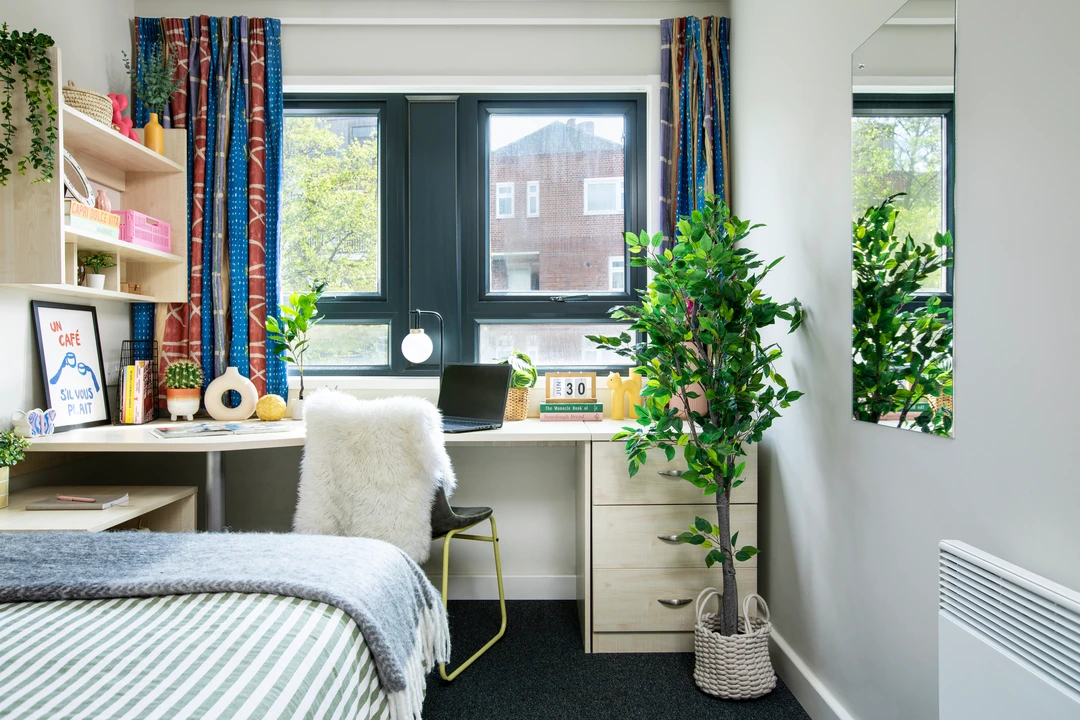 room picture