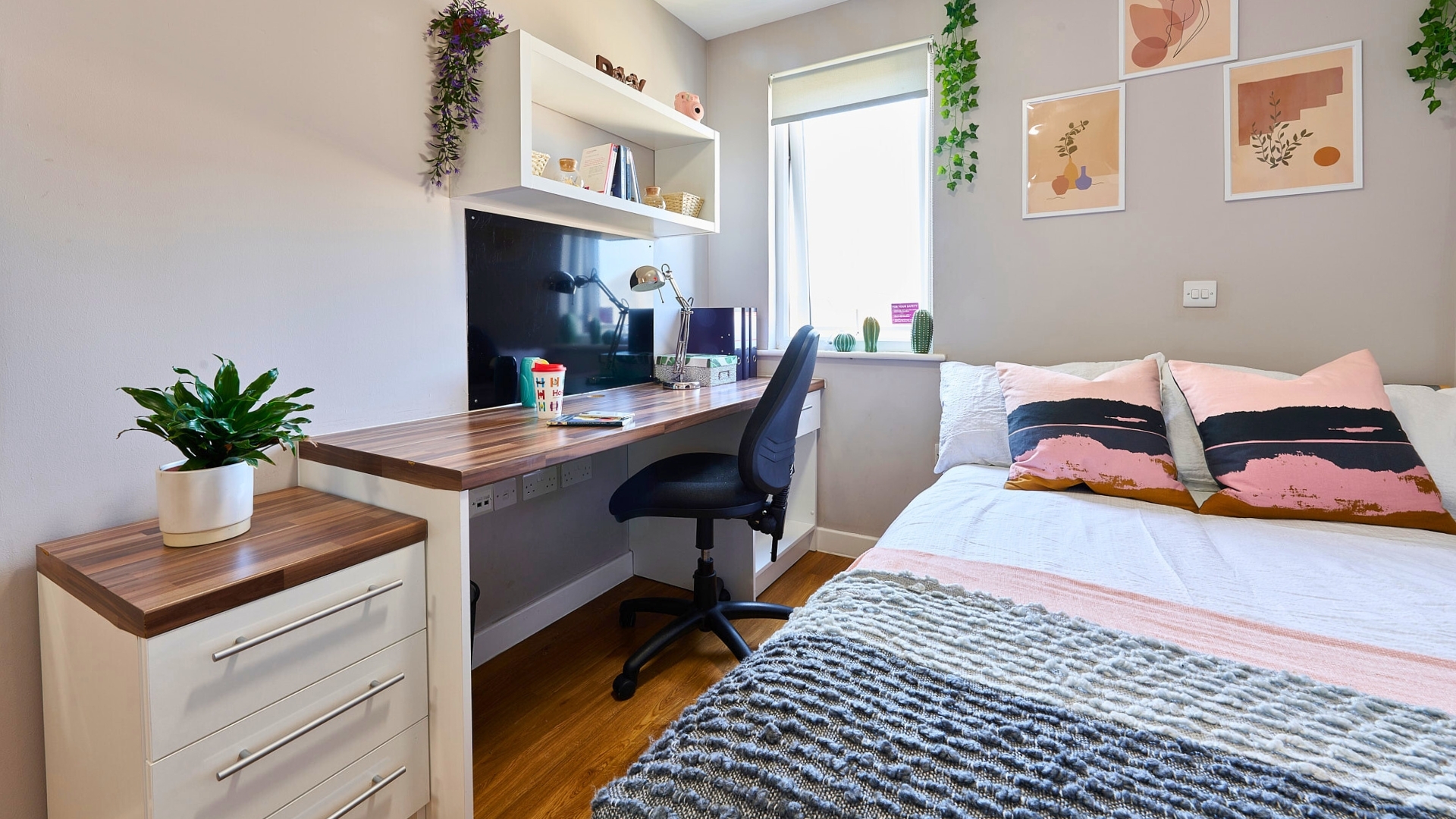 room picture