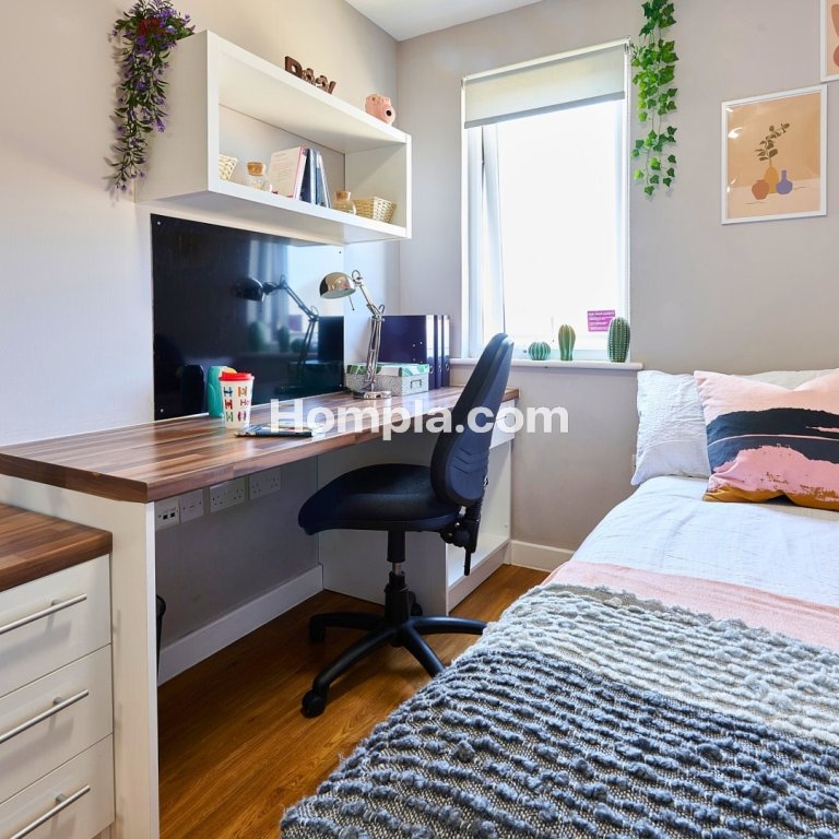 room picture