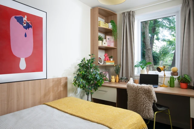 room picture