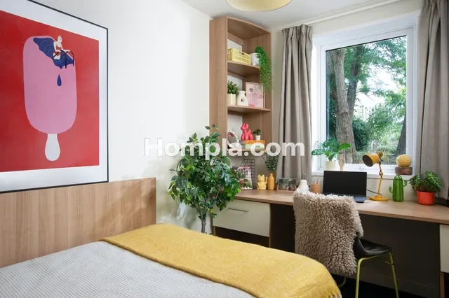 room picture