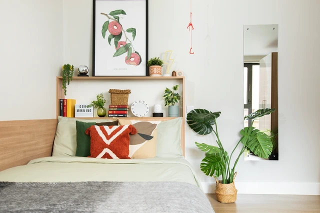 room picture