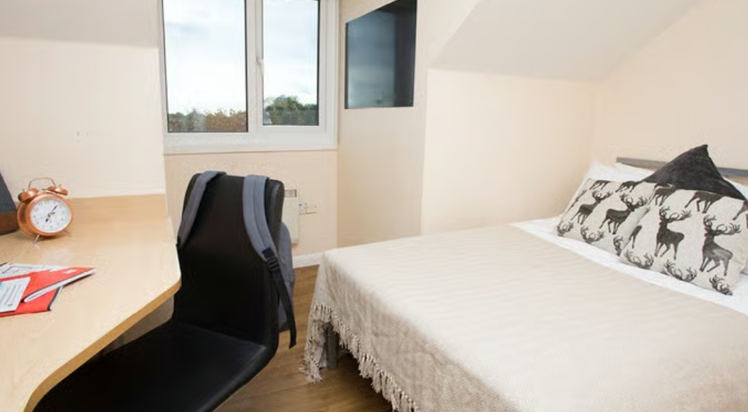 room picture