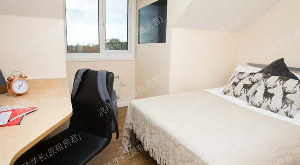 room picture