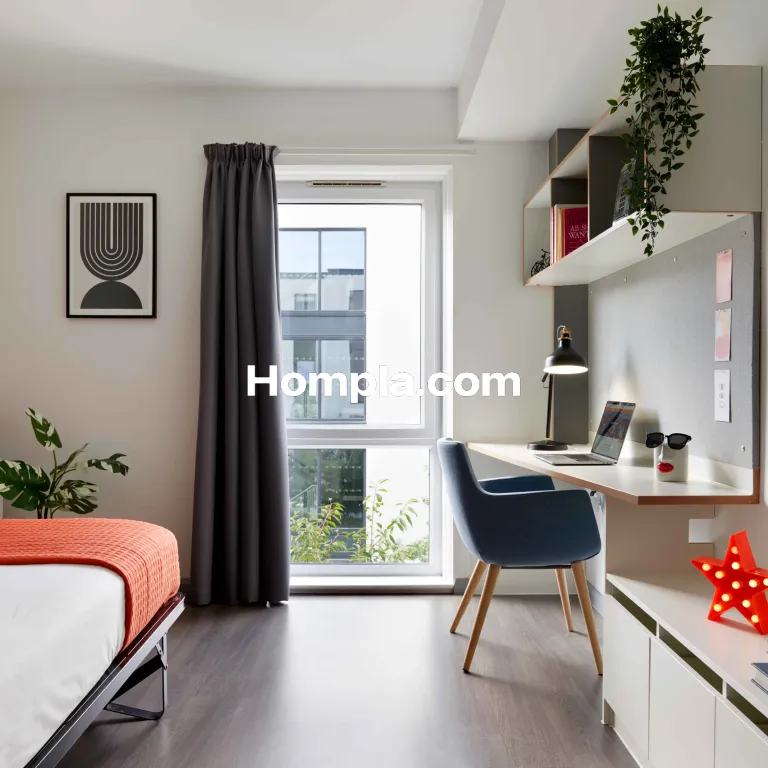 room picture