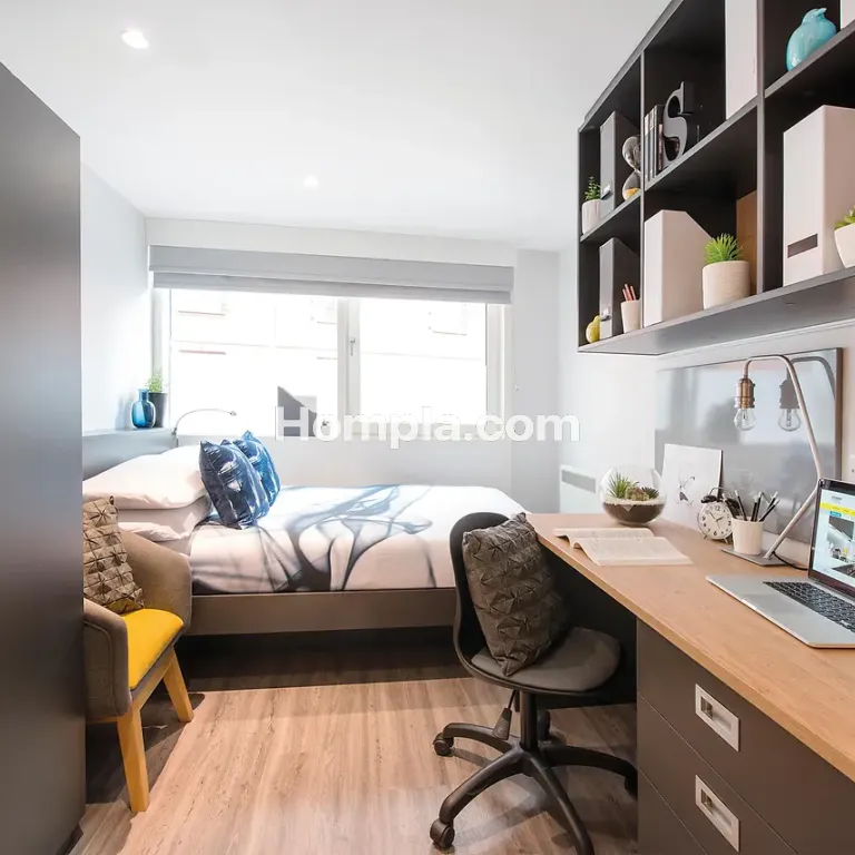 room picture