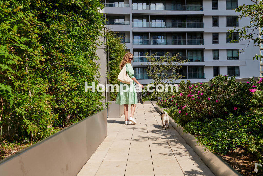 room picture
